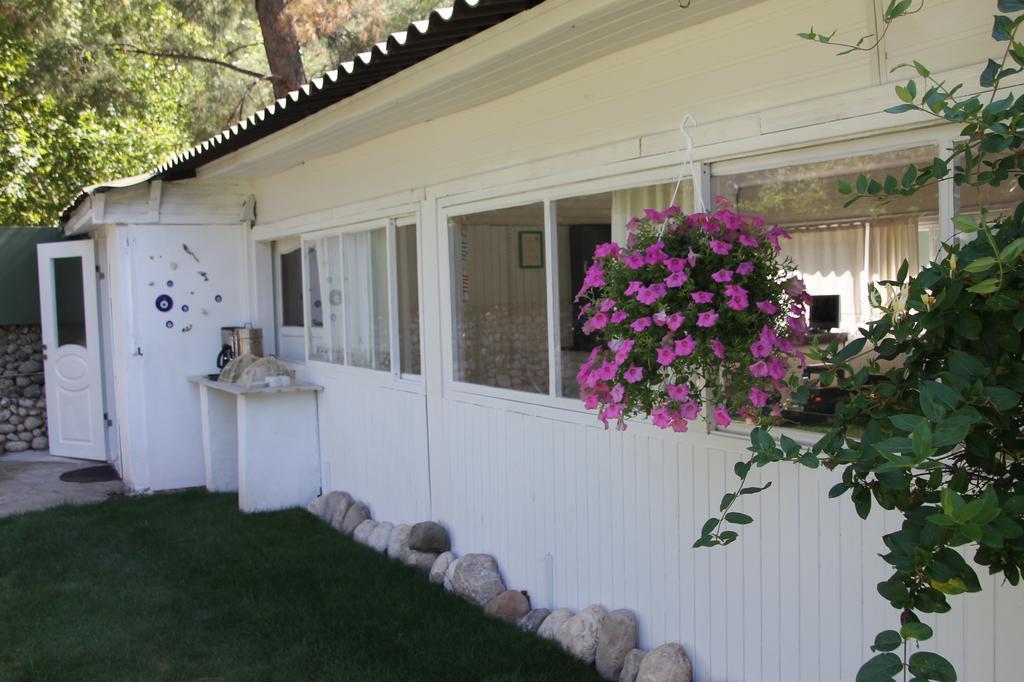 Defne Pension Cirali Exterior photo